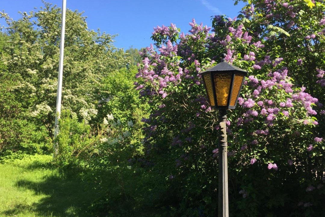 Photo of Outdoor in Hoor