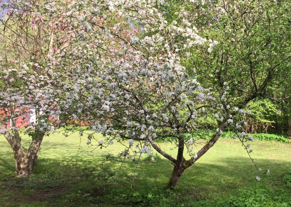 Photo of Outdoor in Hoor