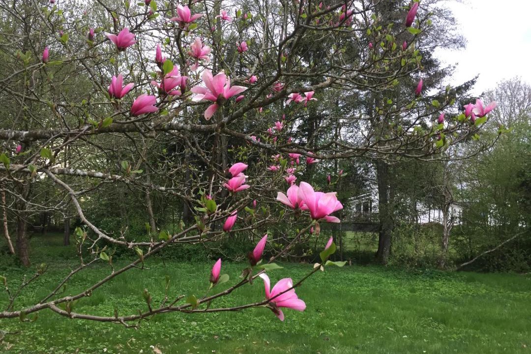 Photo of Outdoor in Hoor