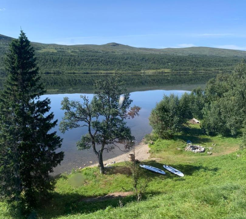 Photo of Others in Fjallnas