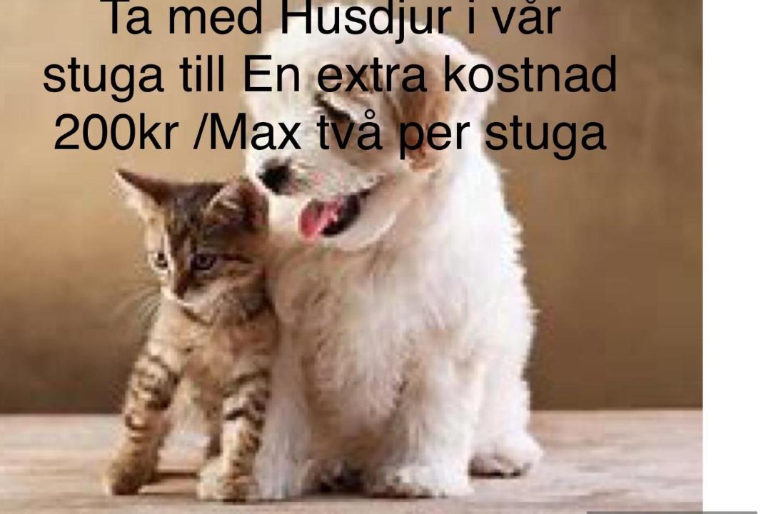 Photo of Others in Hällfors
