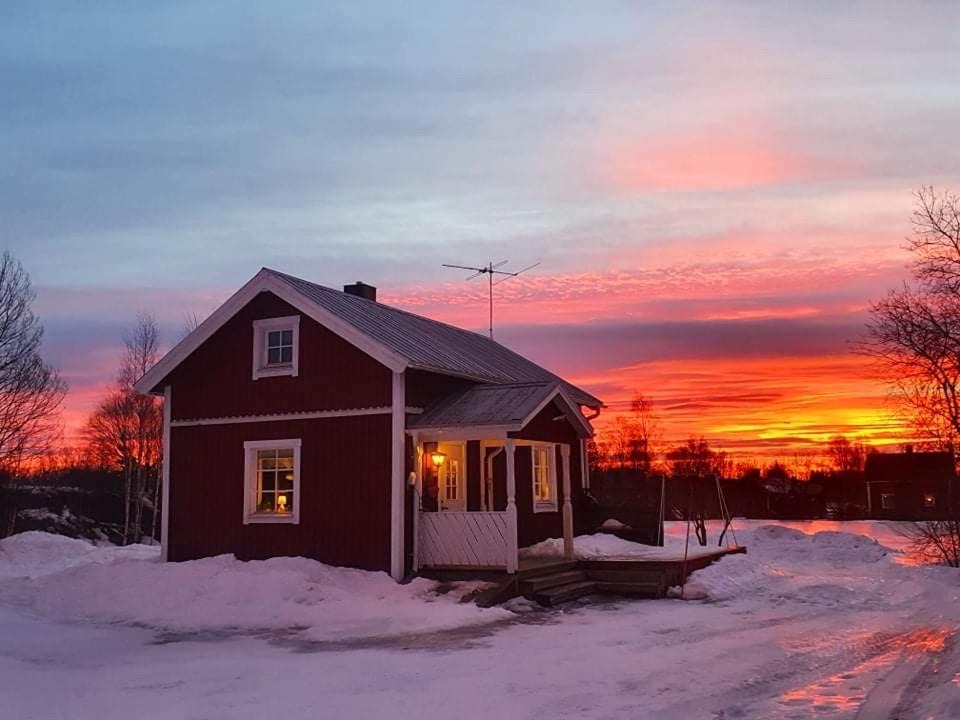 Photo of Others in Ojebyn