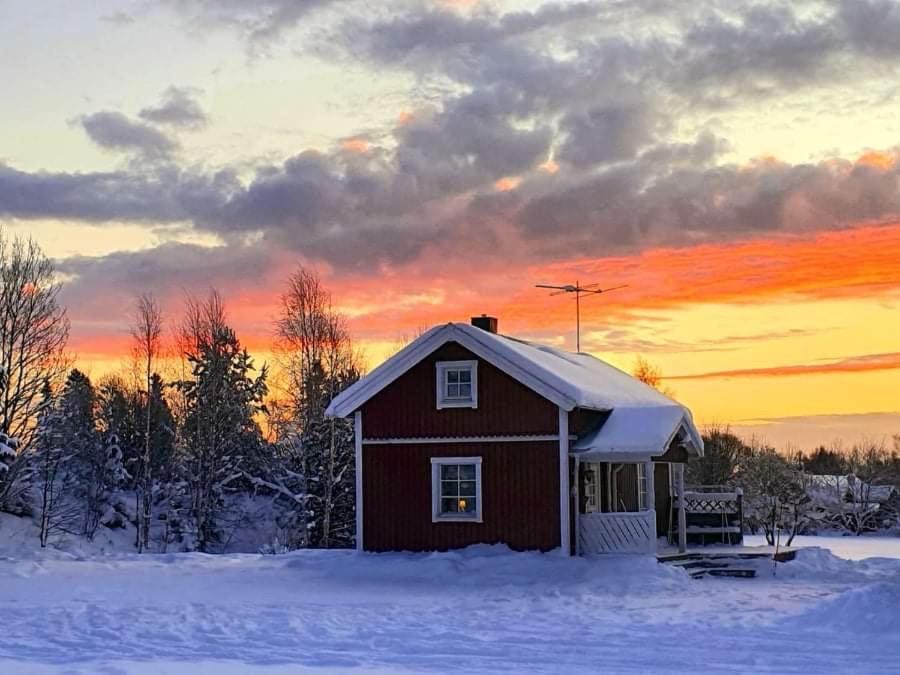 Photo of Others in Ojebyn