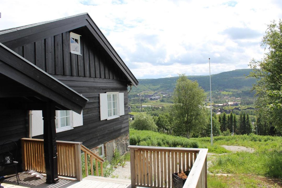 Photo of Others in Geilo