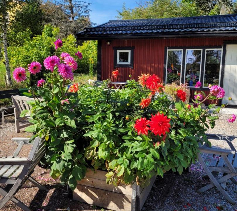 Photo of Buildings in Falun