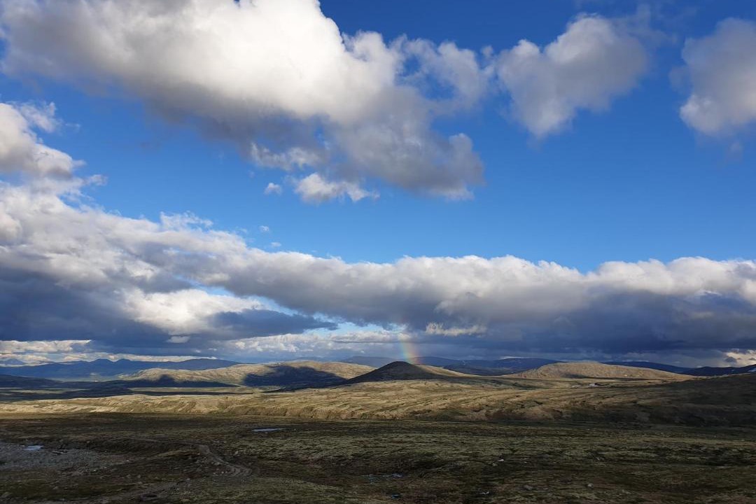 Photo of Others in Hjerkinn