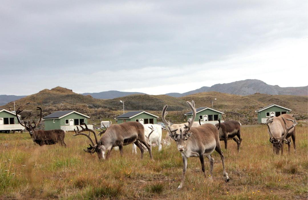 Photo of Others in Nordkapp