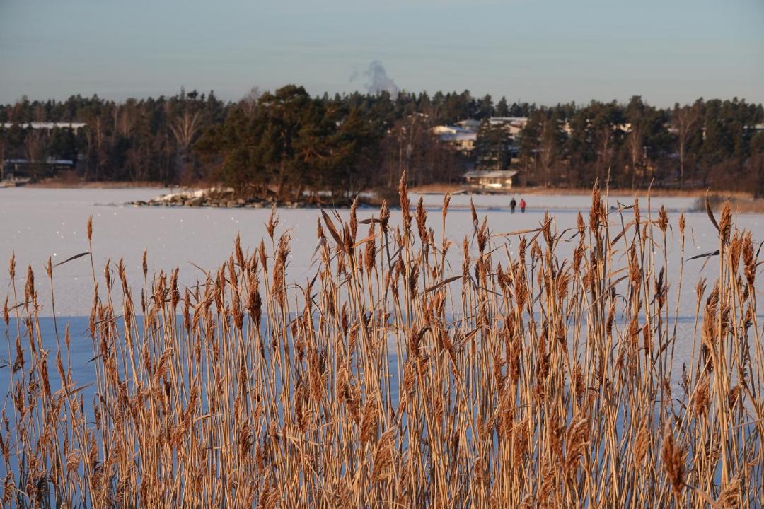 Photo of Others in Itainen District