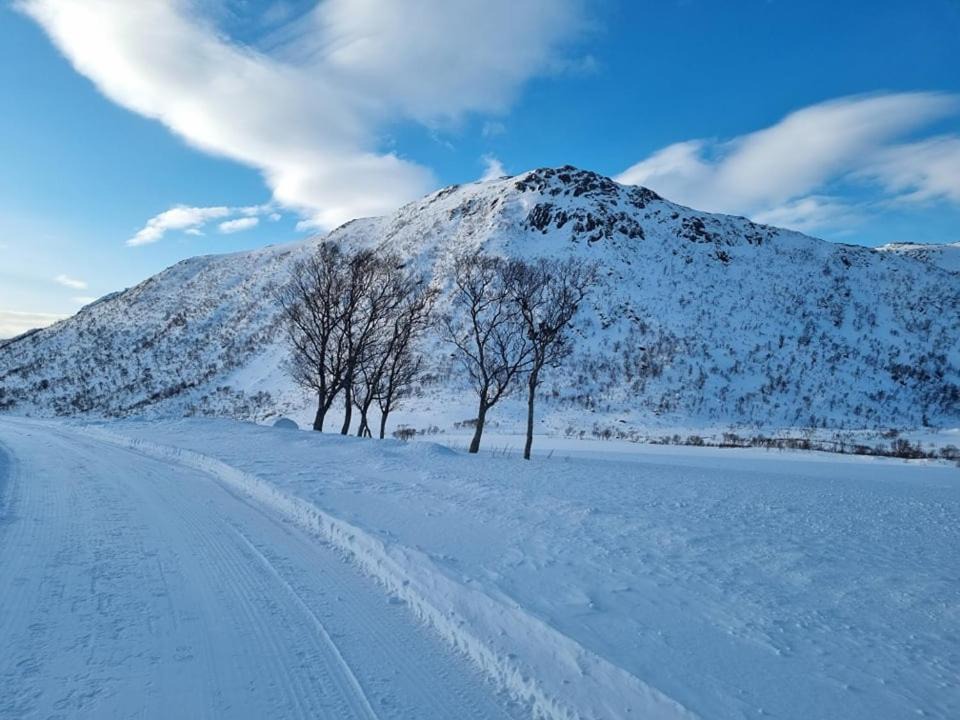 Photo of Others in Vestvagøy