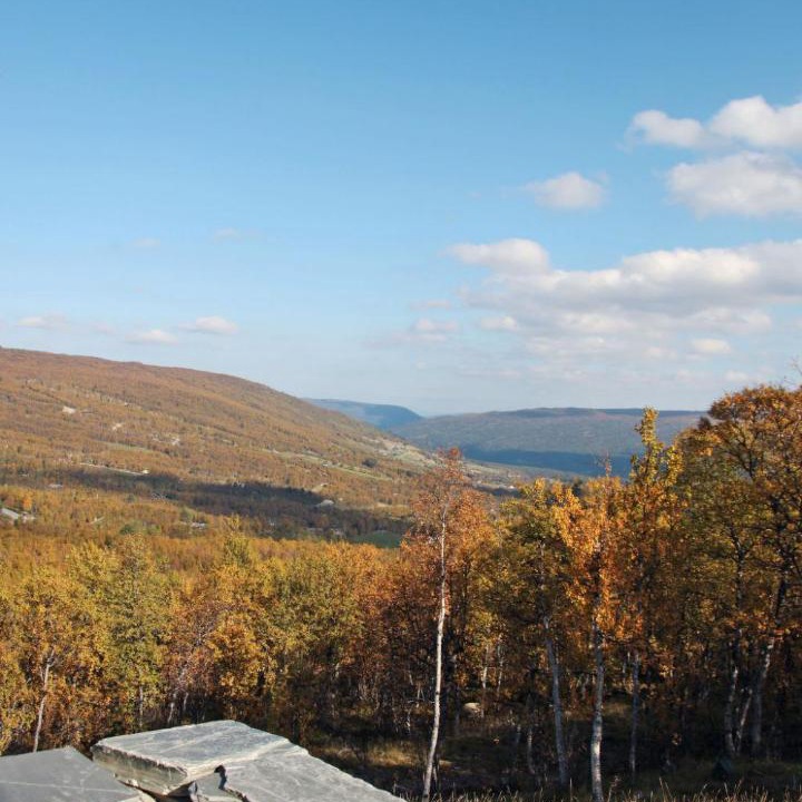 Photo of Others in Geilo