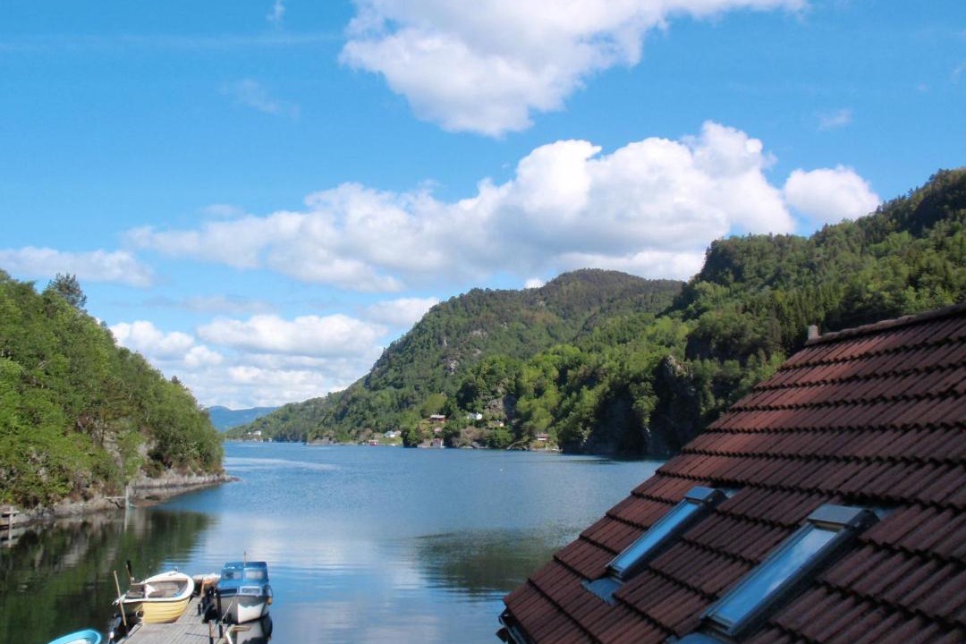 Photo of Others in Fusa