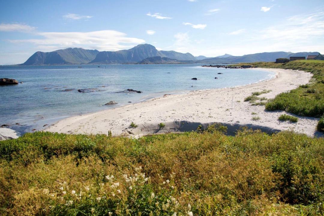 Photo of Others in Vestvagøy
