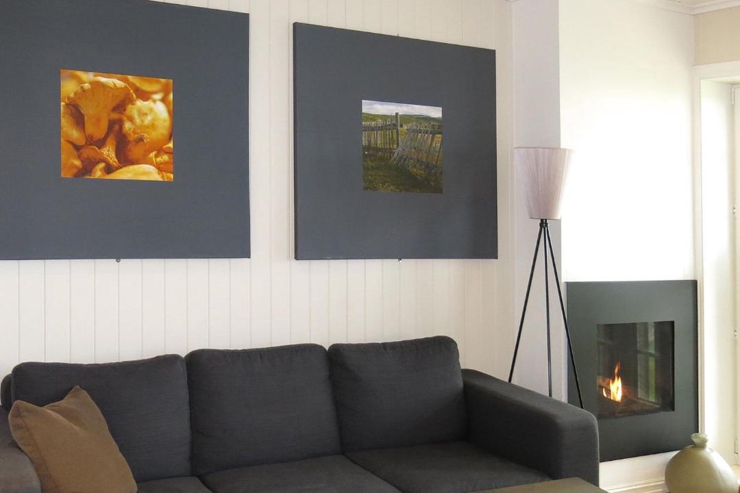 Photo of Livingroom in Geilo