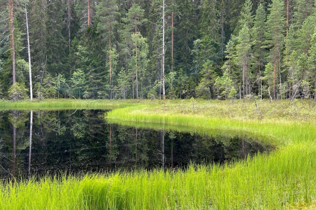 Photo of Others in Soderbarke