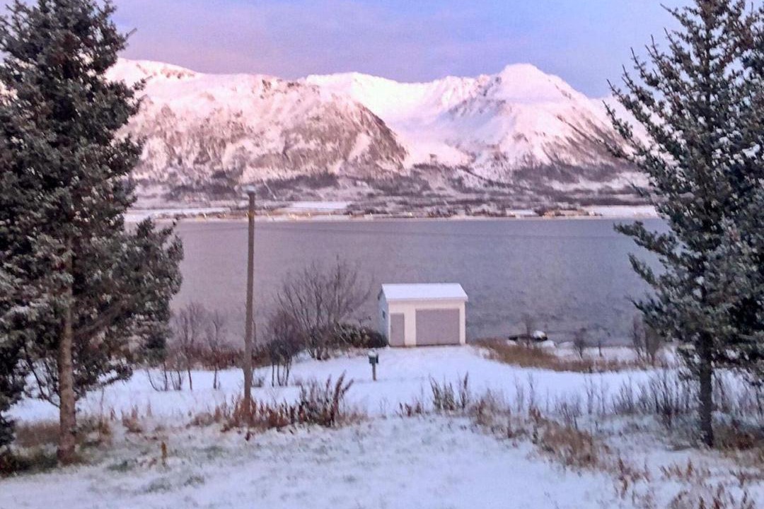 Photo of Others in Lyngen