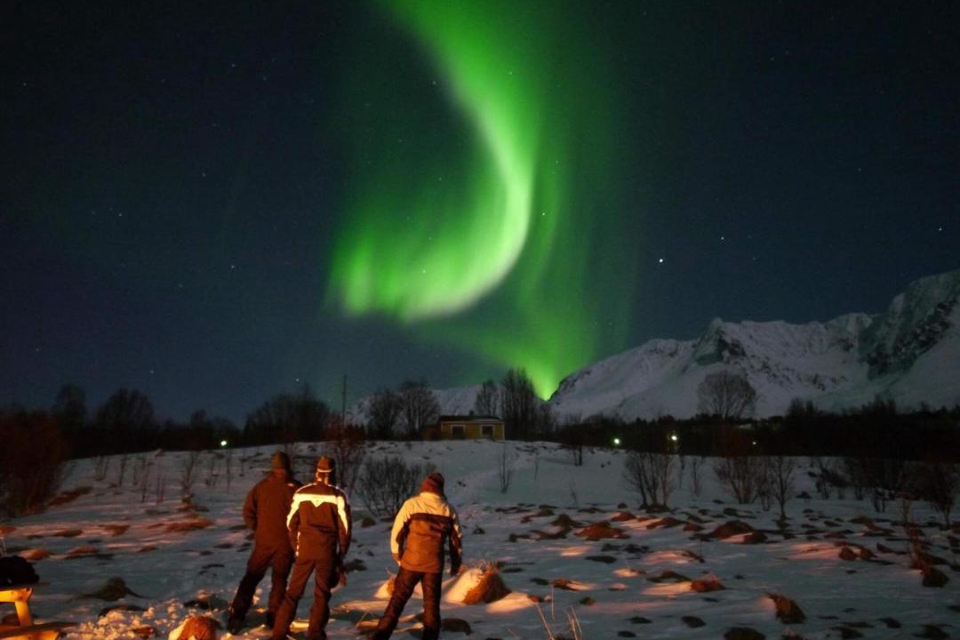 Photo of Others in Lyngen