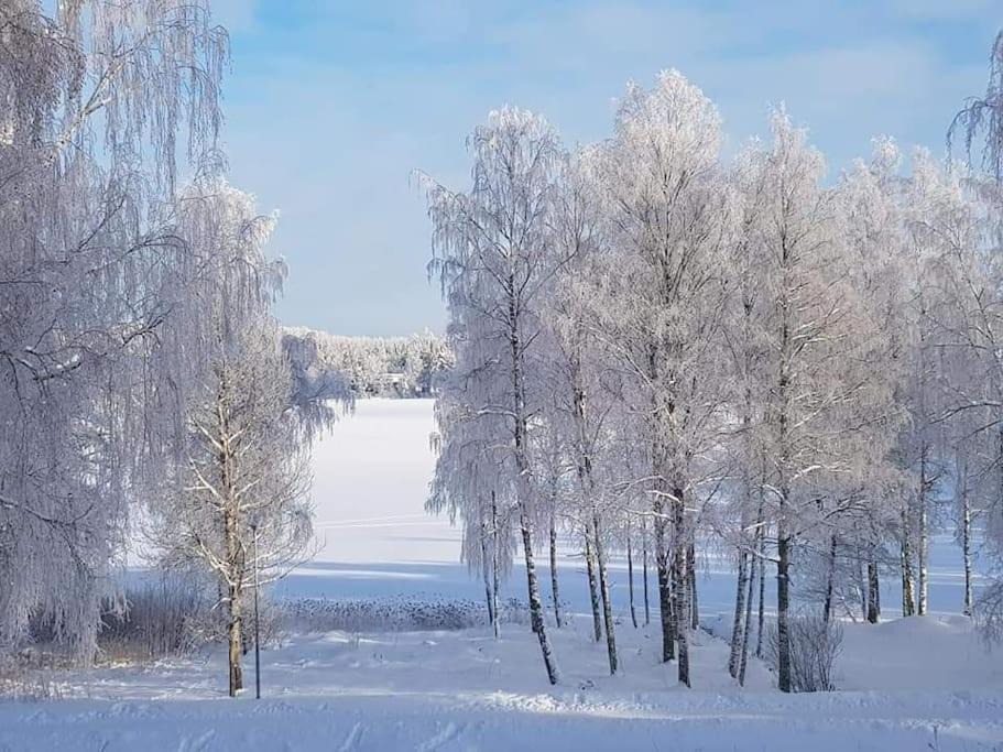 Photo of Others in Ylojarvi