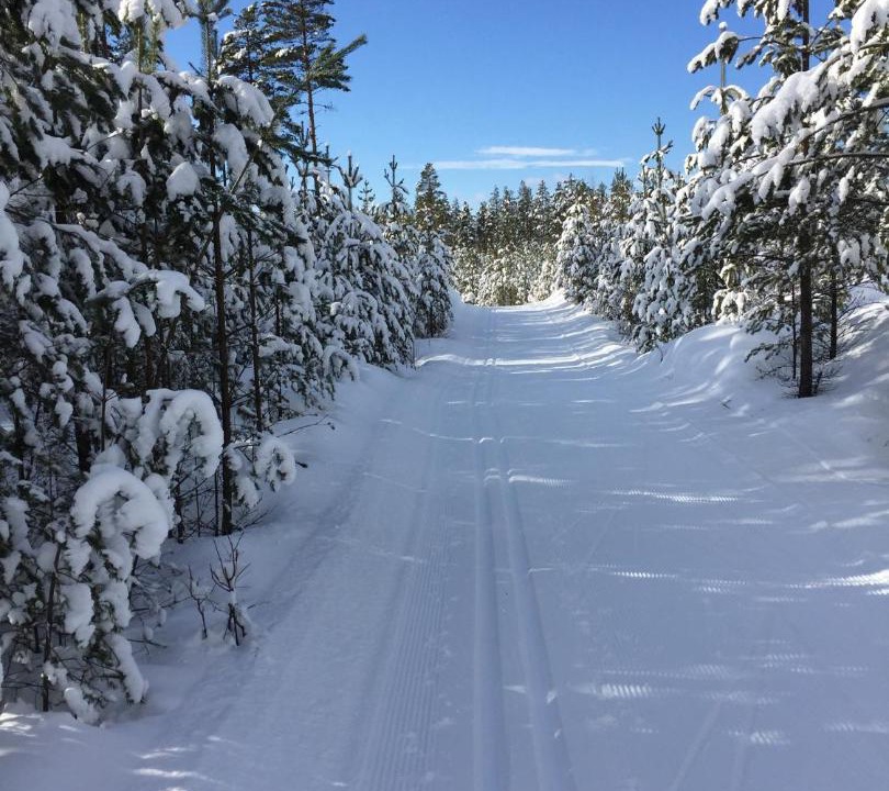Photo of Others in Alvdalen