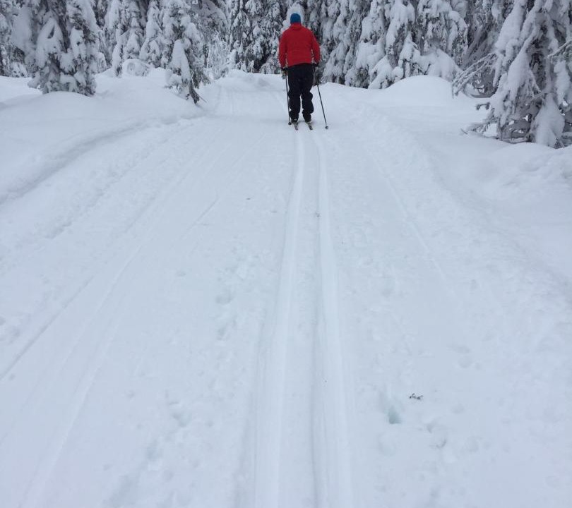 Photo of Others in Alvdalen
