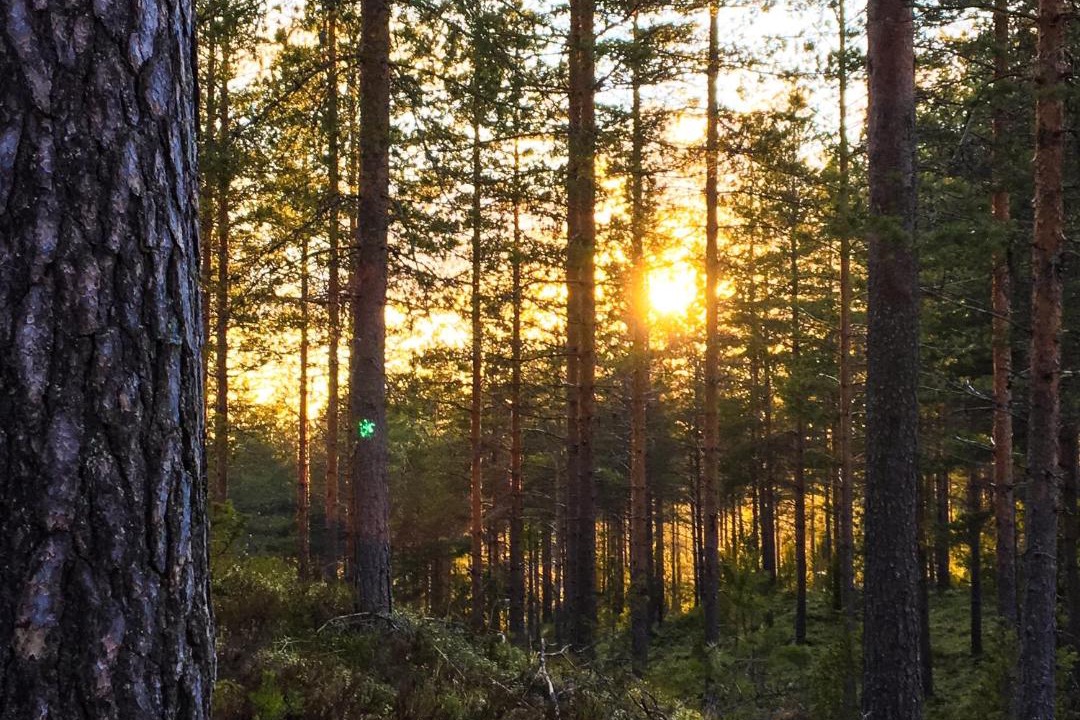 Photo of Others in Vierumaki
