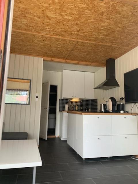 Photo of Others in Henningsvaer