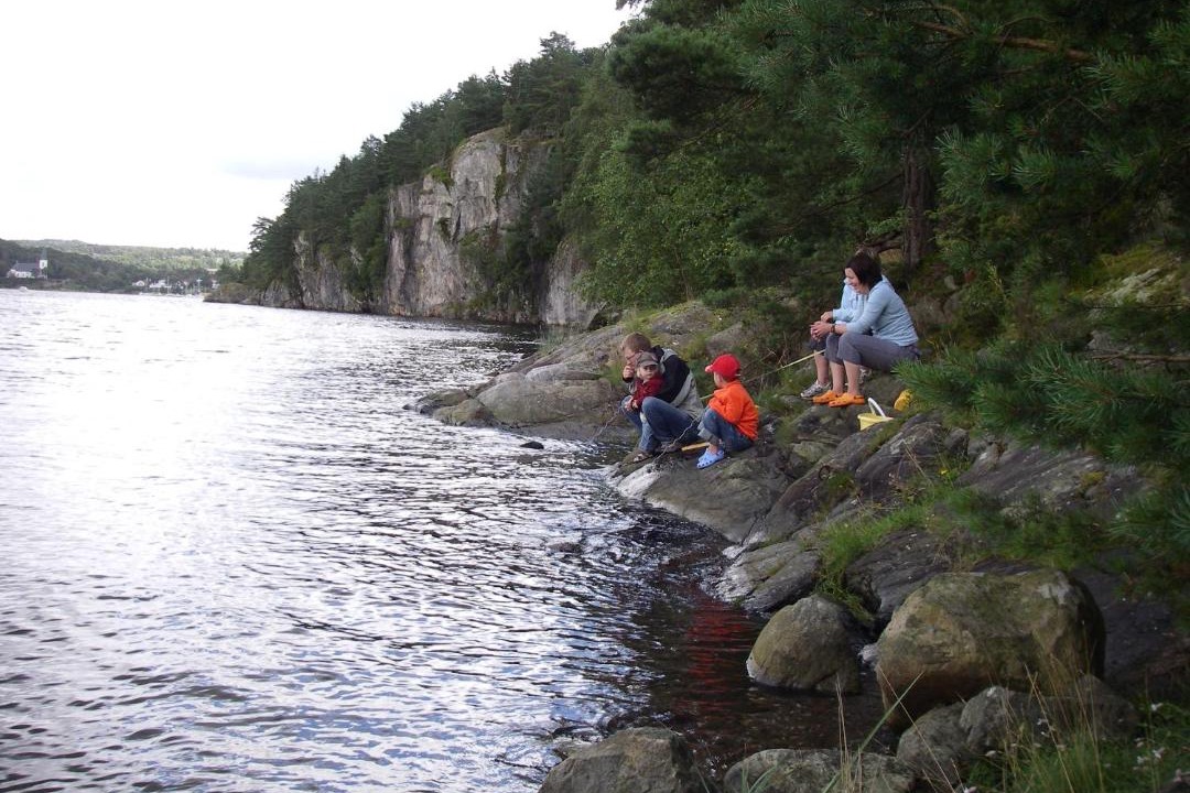 Photo of Others in Ljungskile