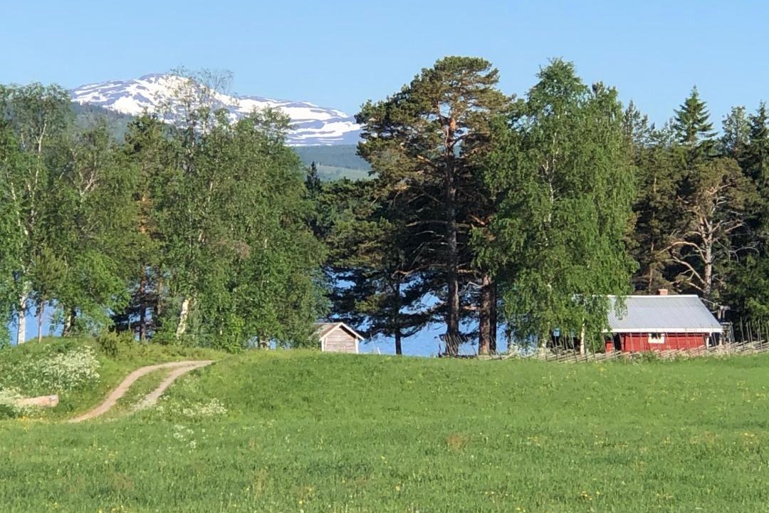 Photo of Others in Morsil