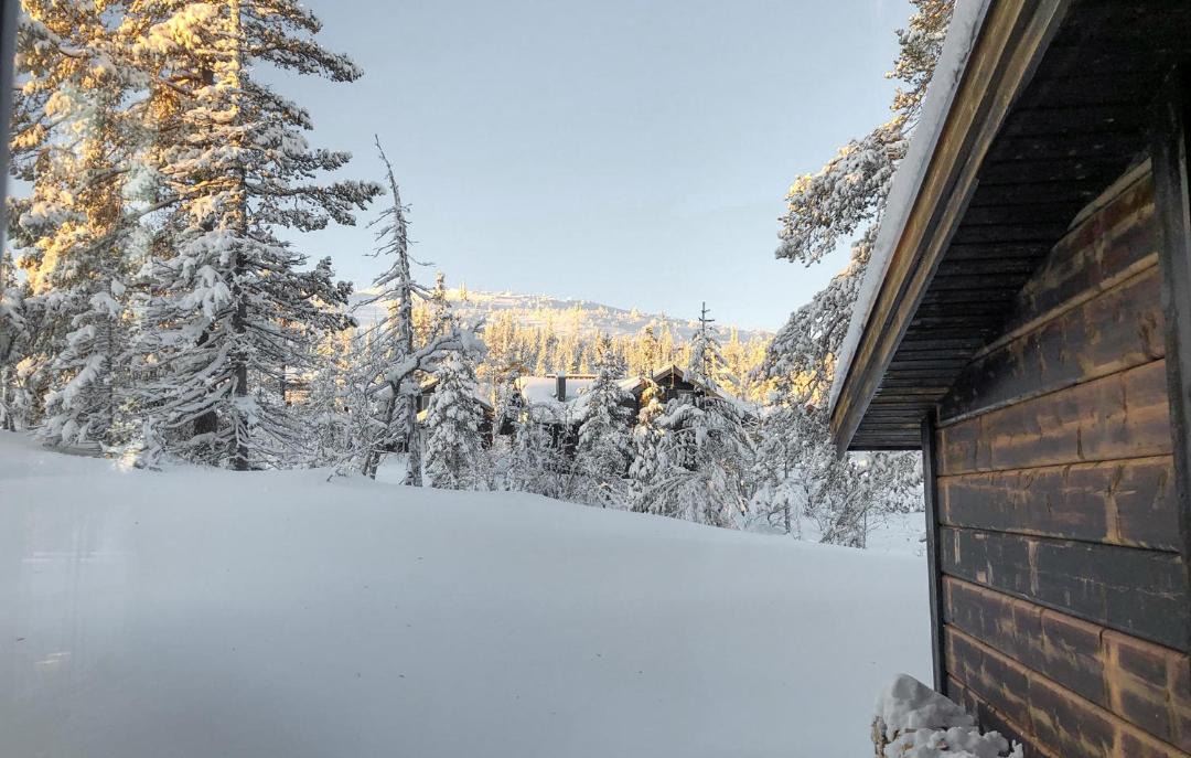 Photo of Buildings in Vemdalen