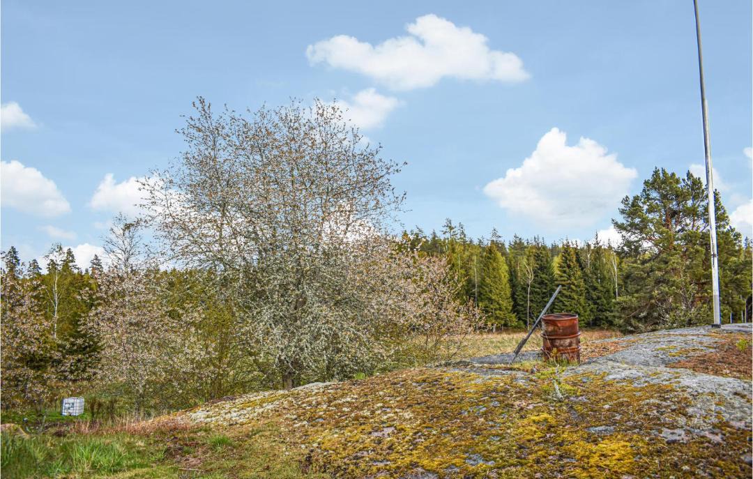 Photo of Outdoor in Odeshog Municipality