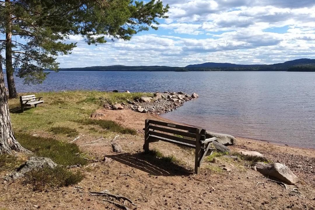 Photo of Outdoor in Dalarna