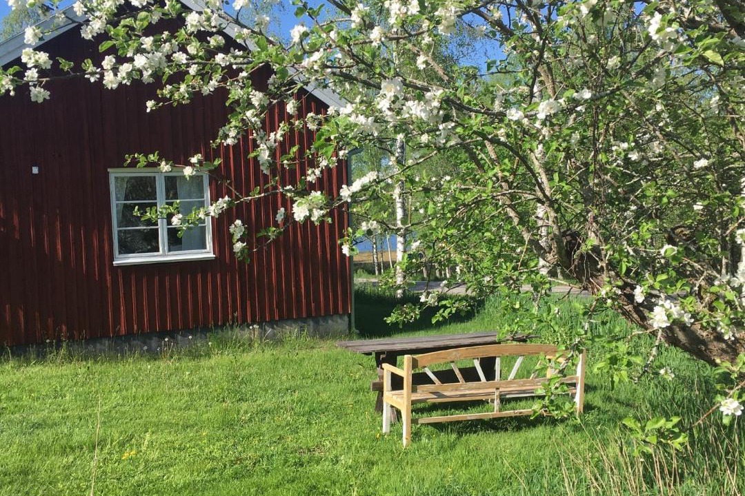 Photo of Others in Soderbarke