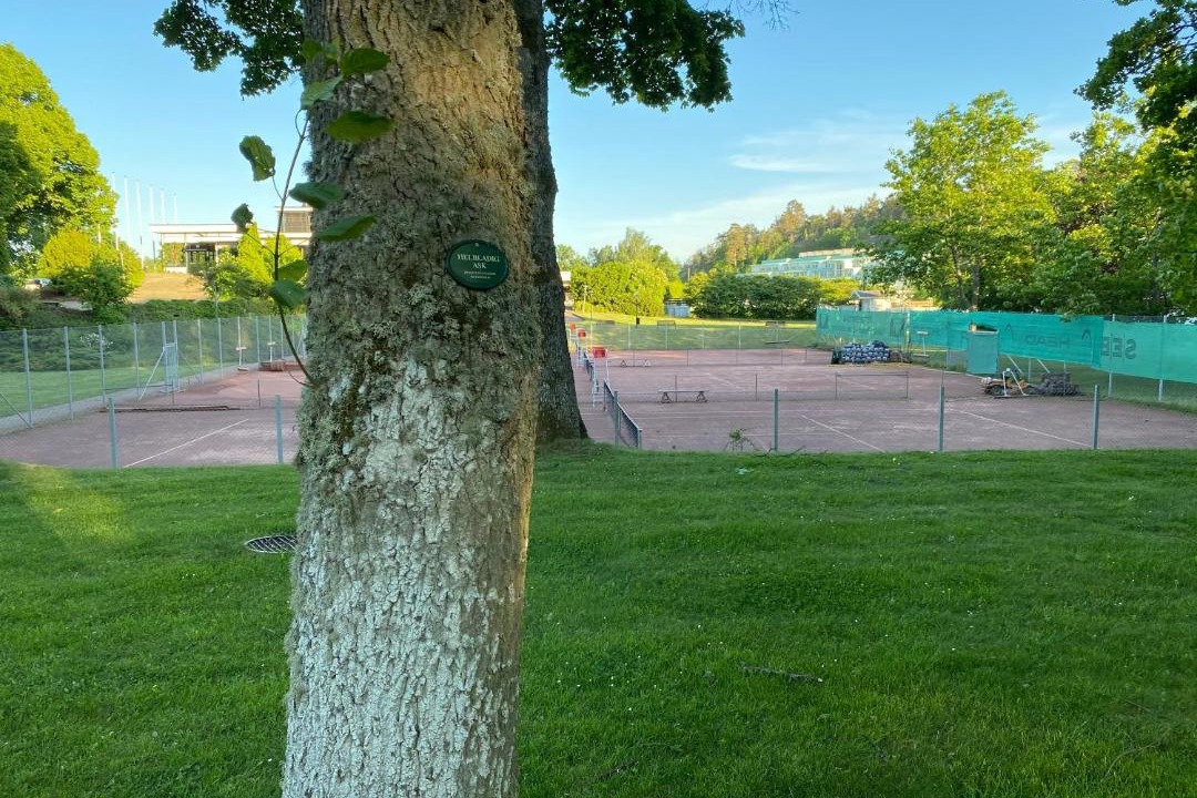 Photo of Others in Ronneby