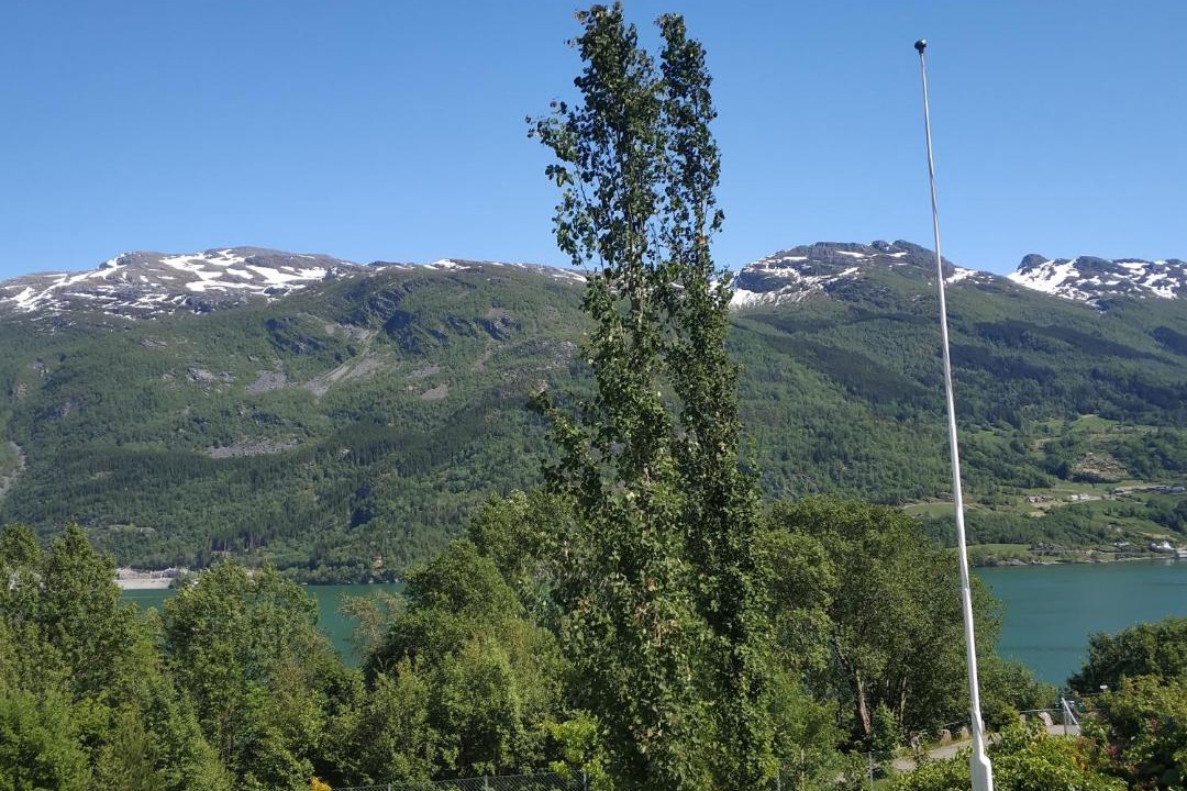 Photo of Others in Ullensvang
