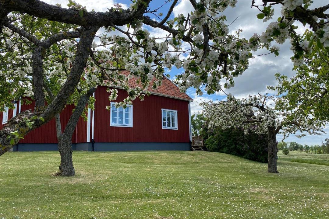 Photo of Buildings in Vadstena