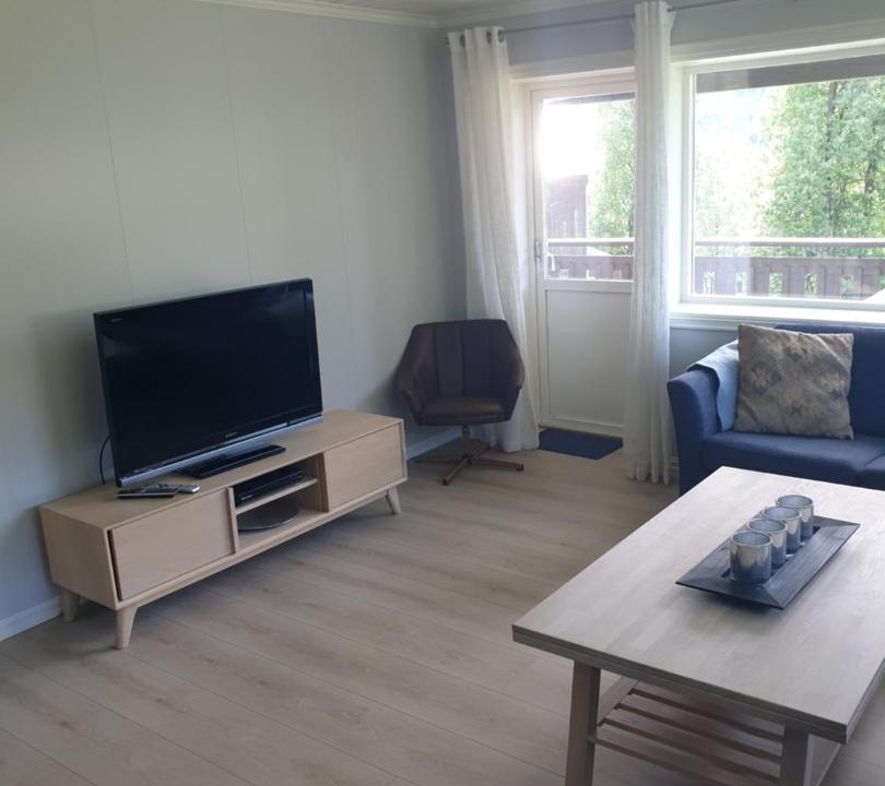 Photo of Livingroom in Myrkdalen