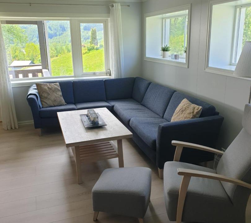 Photo of Livingroom in Myrkdalen