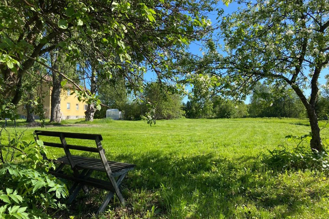 Photo of Others in Haparanda