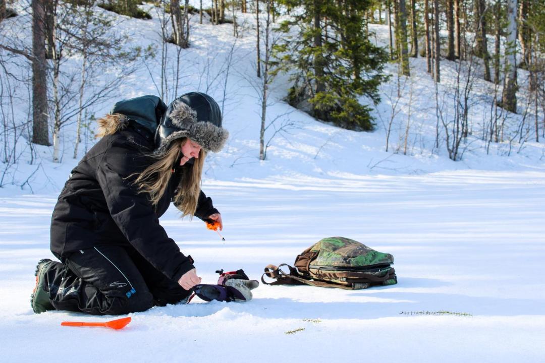 Photo of Others in Kuusamo