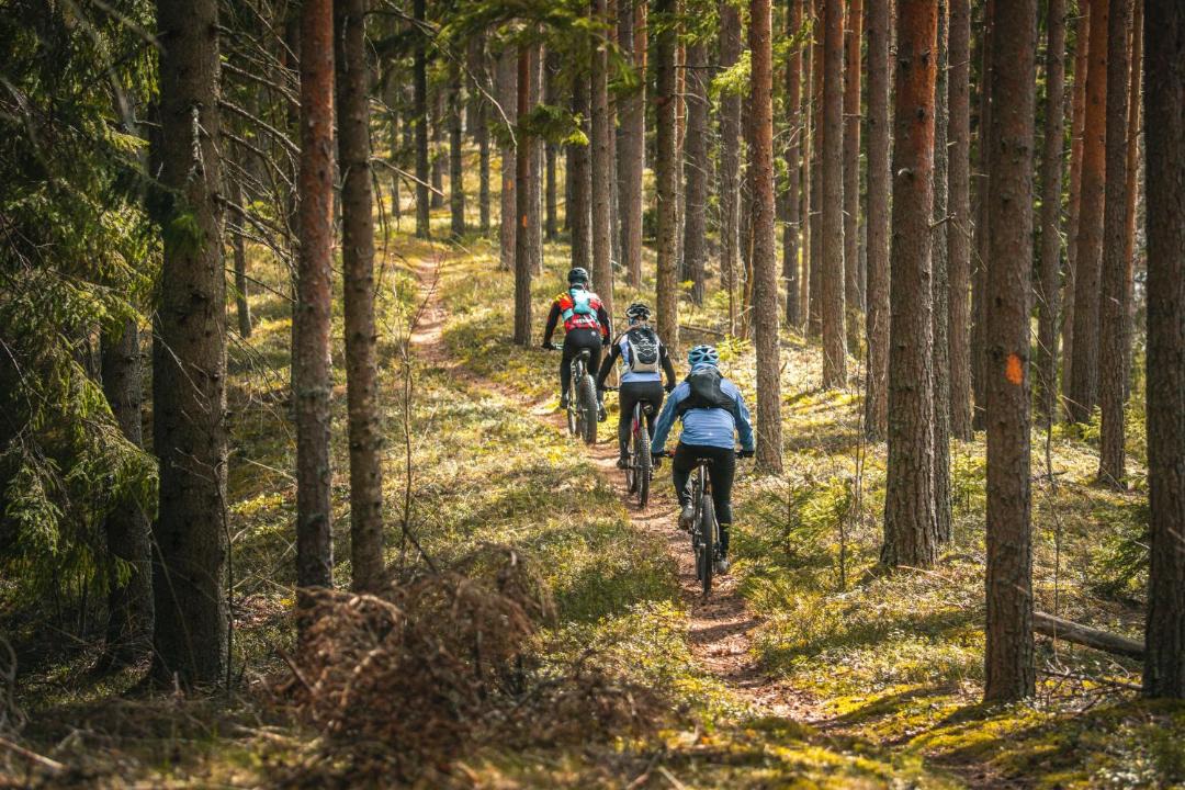 Photo of Others in Punkaharju