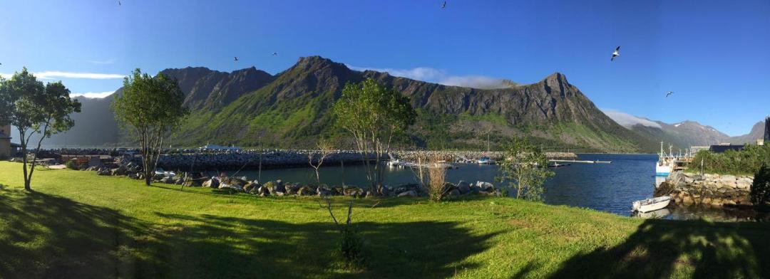 Photo of Others in Torsken