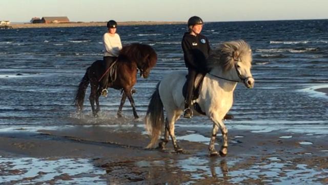 Photo of Human In Picture in Falkenberg