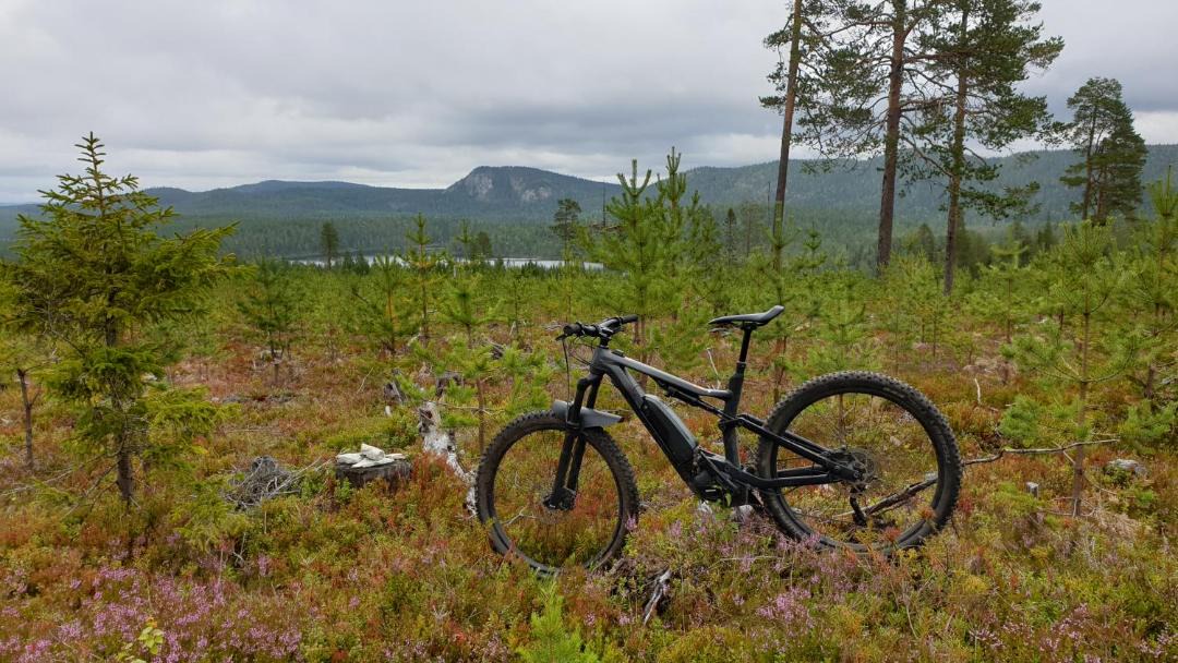 Photo of Others in Kuusamo