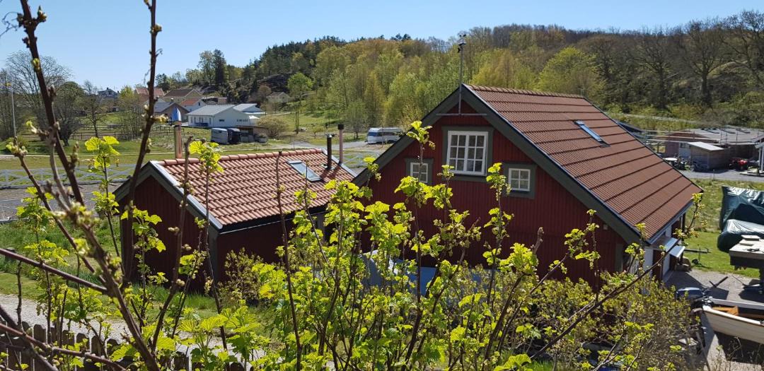 Photo of Others in Hamburgsund