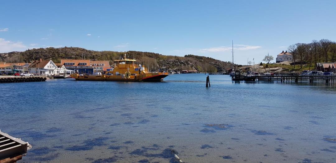 Photo of Others in Hamburgsund