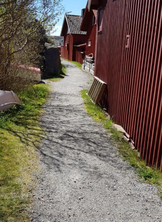Photo of Others in Hamburgsund