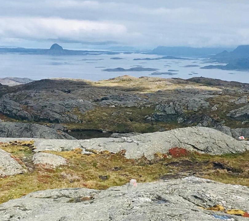 Photo of Others in Vik i Helgeland