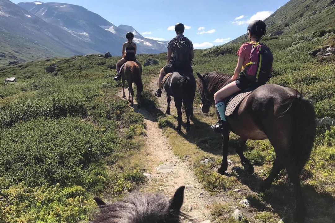 Photo of Others in Skjaak