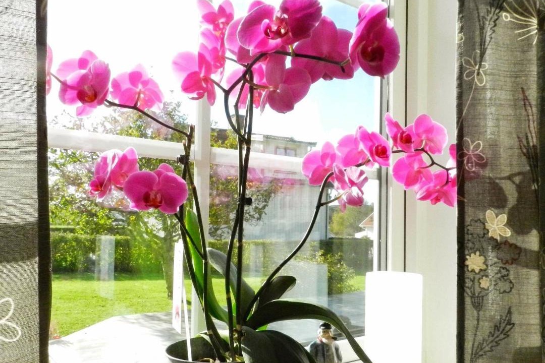 Photo of Patio Balcony in Lysekil