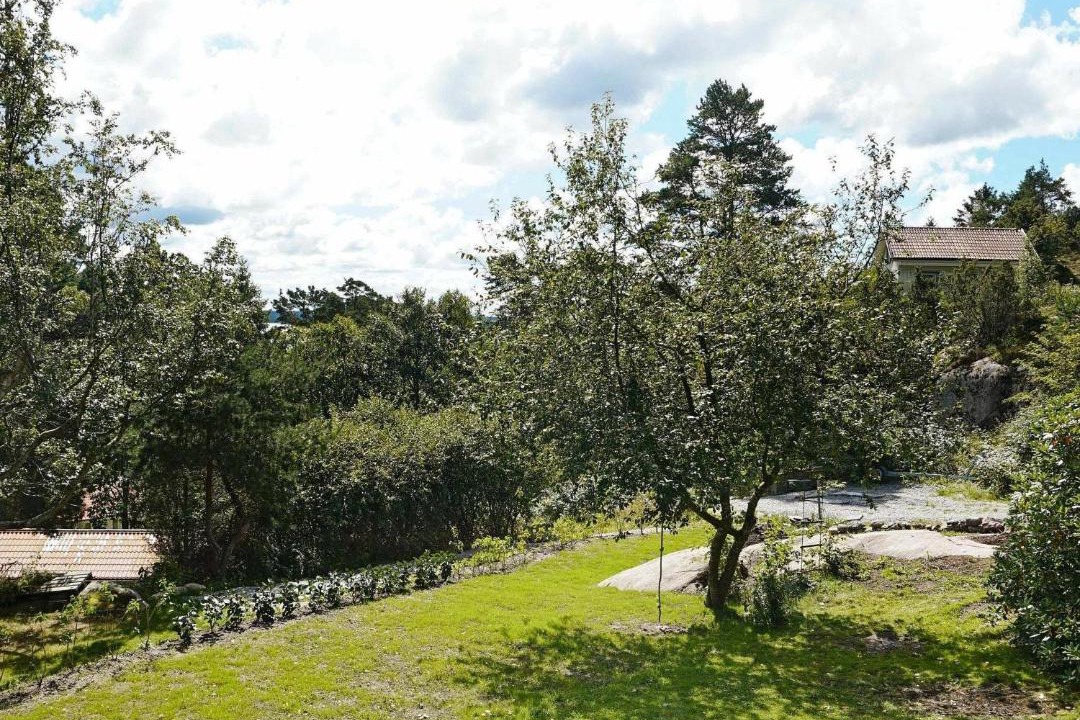 Photo of Outdoor in Hoviksnas