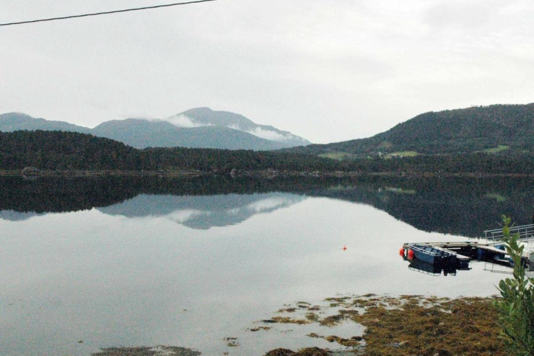 Photo of Others in Halsa Municipality